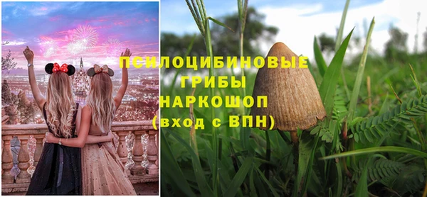 Альфа ПВП Верея