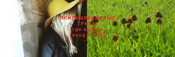 МДМА Вяземский